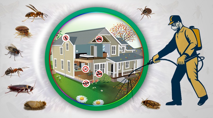 Kumluca Böcek İlaçlama