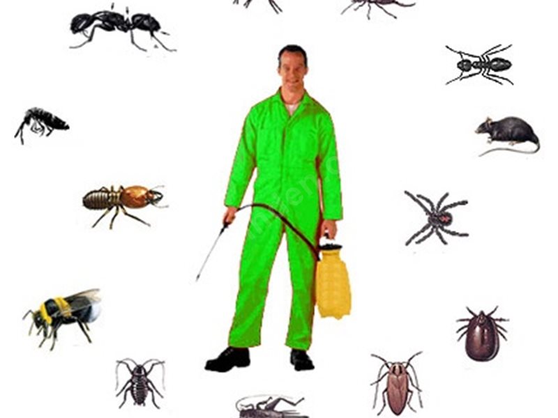 Kumluca Böcek İlaçlama